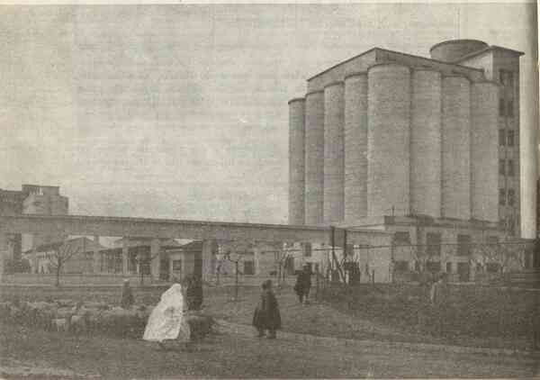 Aspects et r�alit�s de l'Alg�rie Agricole