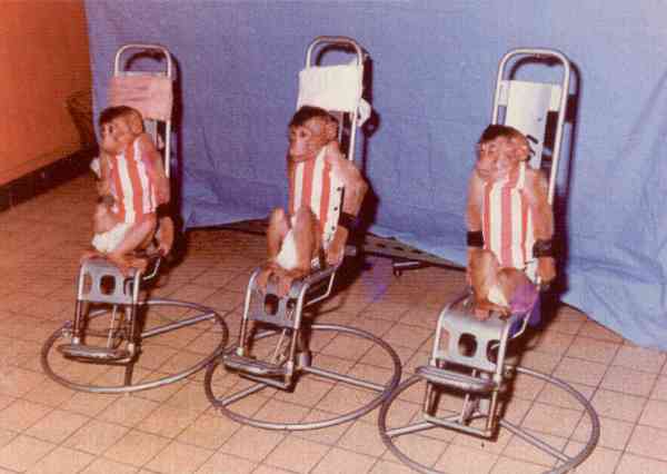 Photo de M. Robert Antoine