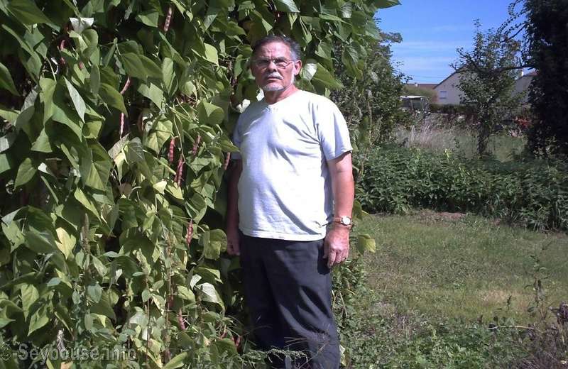 Photo M. Louis Aymes