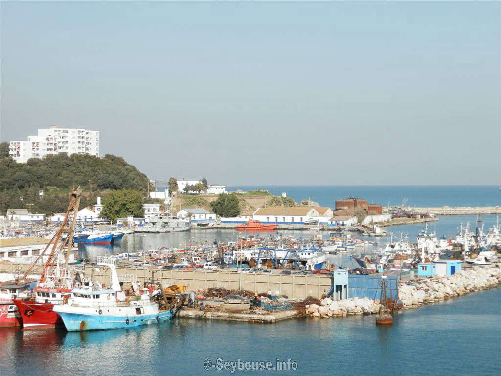 Photo M. Roland Bussola