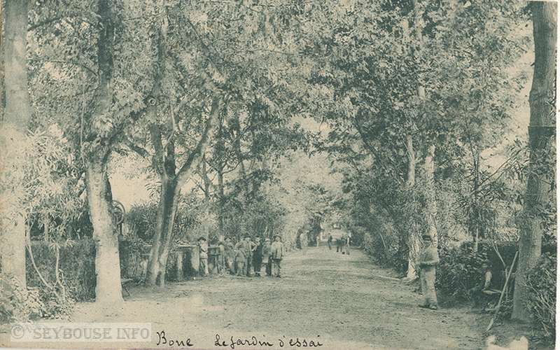 Photo envoy�e par M. C. Ciantar