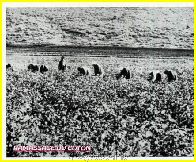 Photo envoy�e par M. Ciantar