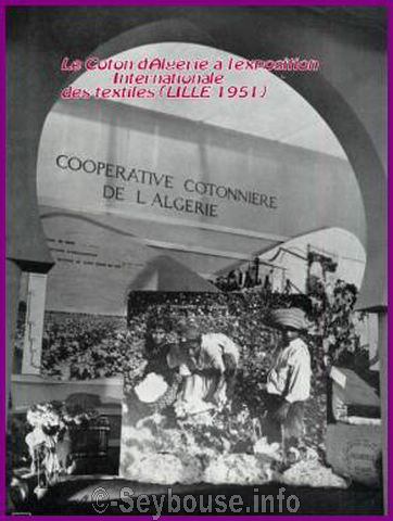 Photo envoy�e par M. Ciantar