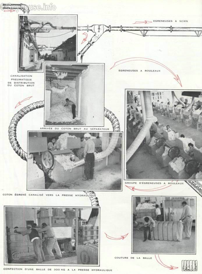 Photo envoy�e par M. Ciantar