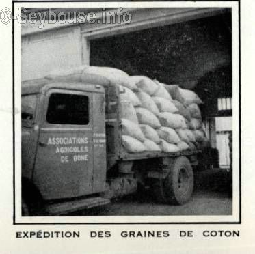 Photo envoy�e par M. Ciantar