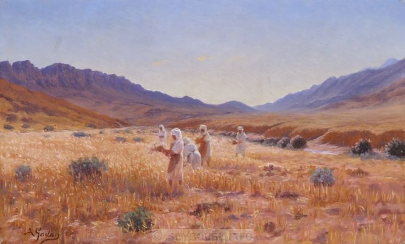 Photo envoy�e par M C. Ciantar