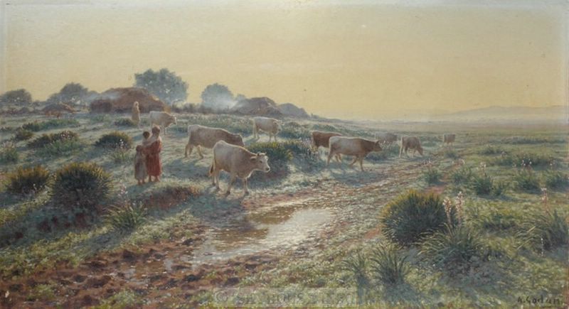 Photo envoy�e par M C. Ciantar