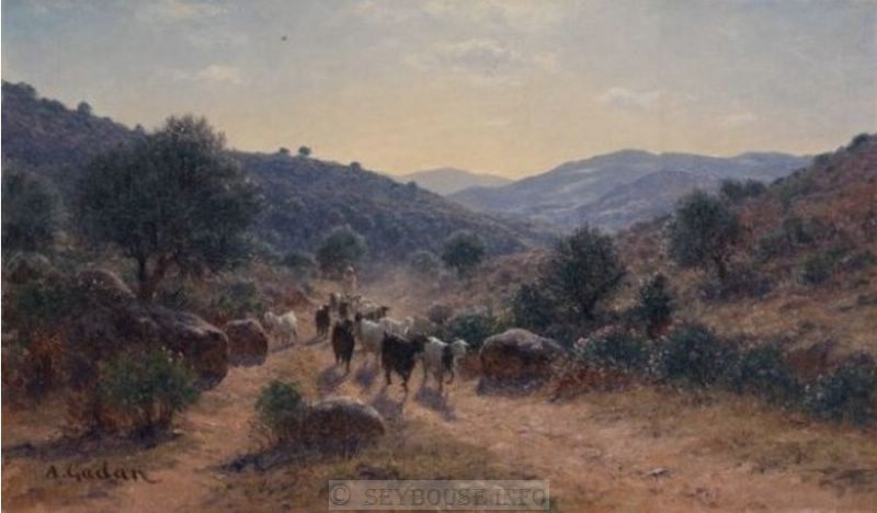 Photo envoy�e par M C. Ciantar