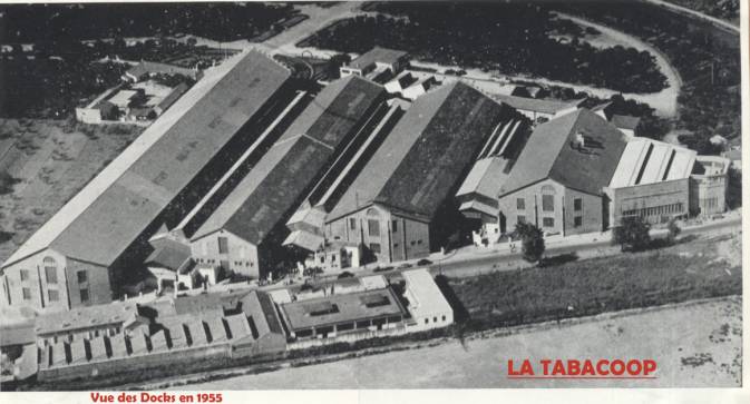 Photo Charles Ciantar