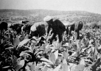 Photo Charles Ciantar