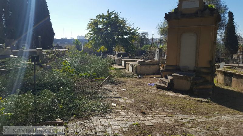 Photo M. Mounir Han�che