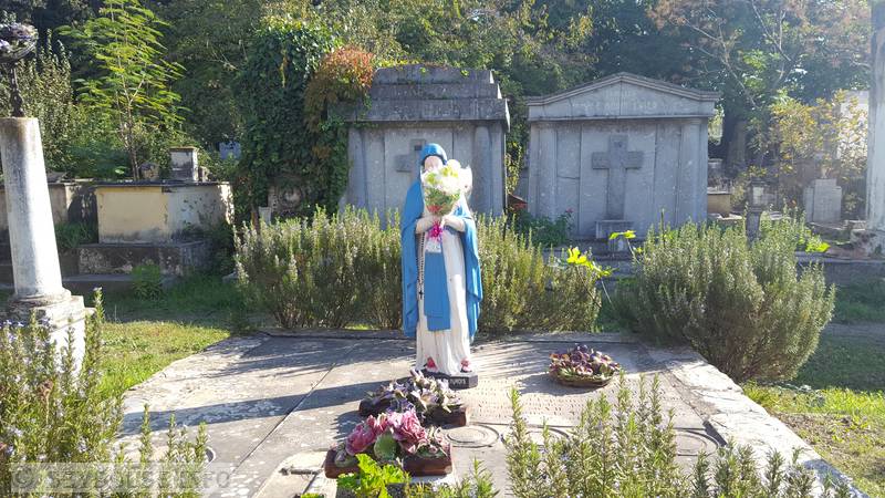 Photo M. Mounir Han�che