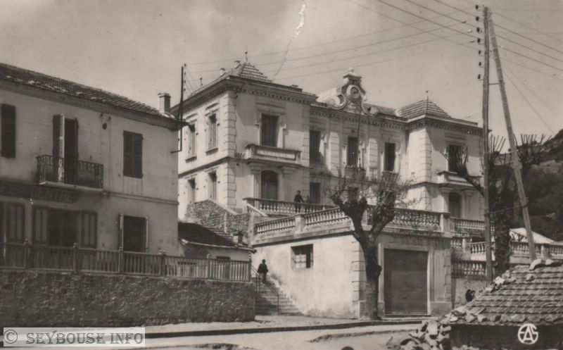 Photo de Mme Di Ma�o