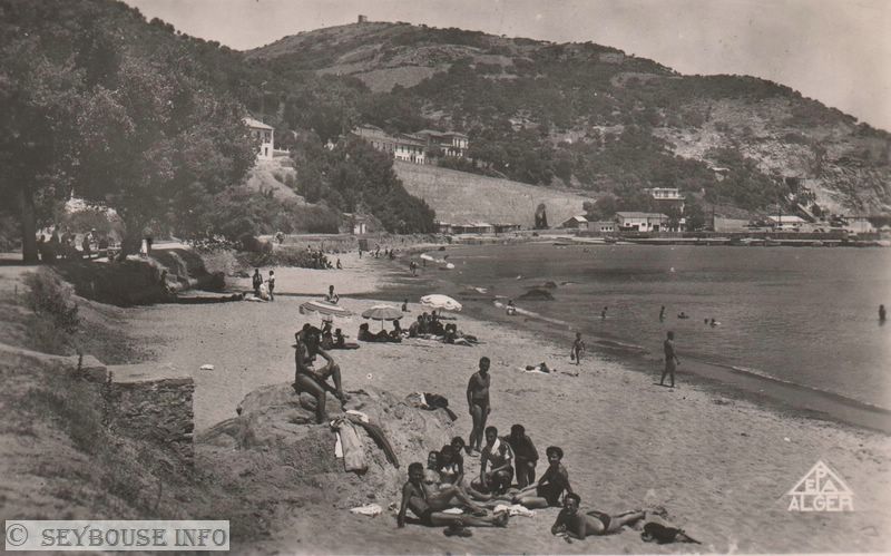 Photo de Mme Di Ma�o