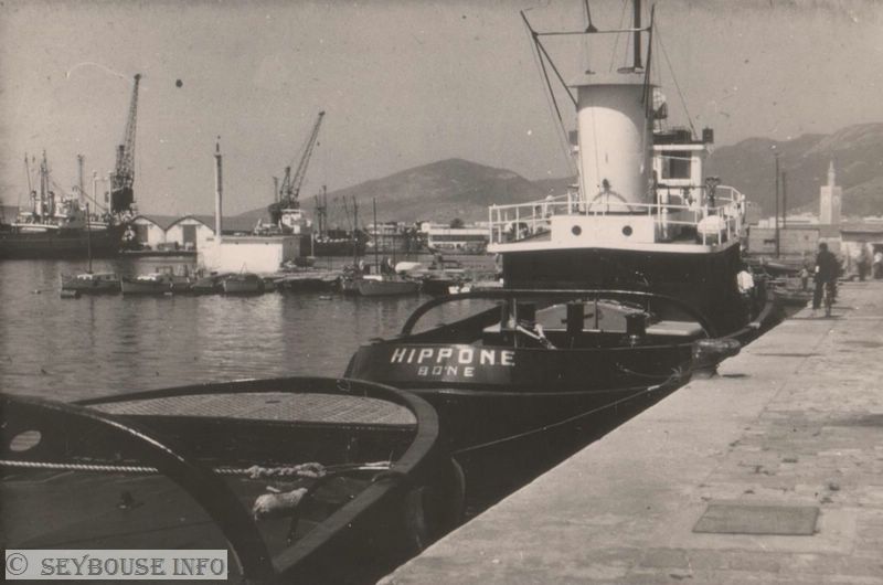 Photo de Mme Di Ma�o