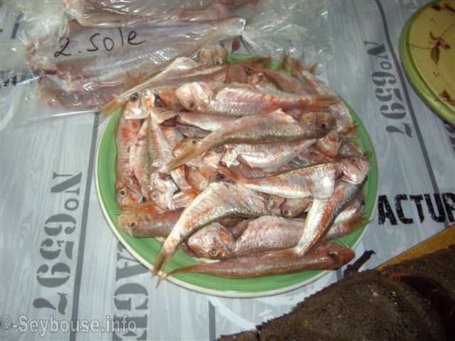 Photo Mme Janine Lorinet