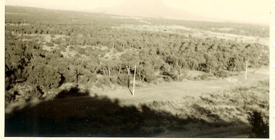 Photo  Eric Van Den Bro�ck