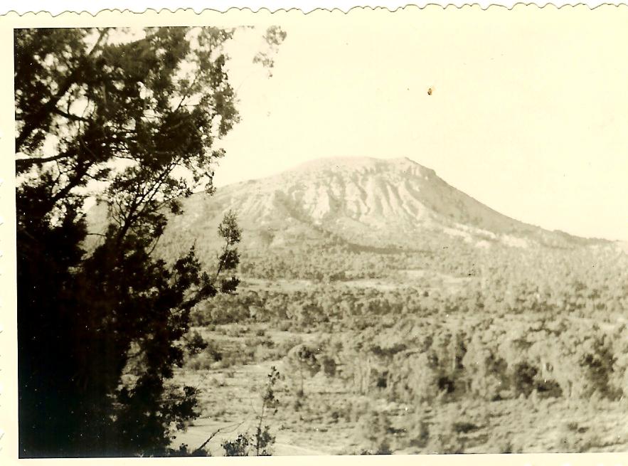 Photo  Eric Van Den Bro�ck