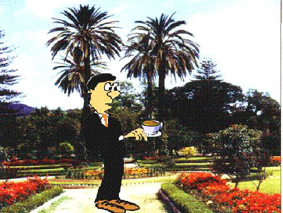 Image de M. Ren� Vento