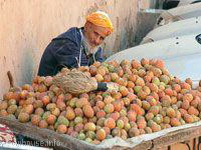 Photo de M. J.L. Ventura